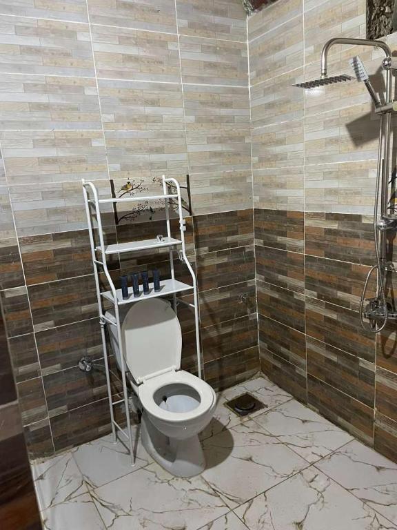 a bathroom with a toilet with a shelf on it at منزل نوبي إضافة in Aswan