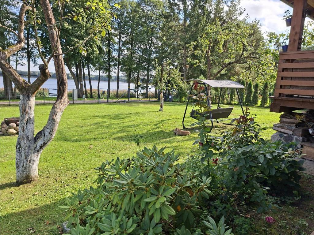 Ein Garten an der Unterkunft Sodyba jūsų poilsiui ant ežero kranto