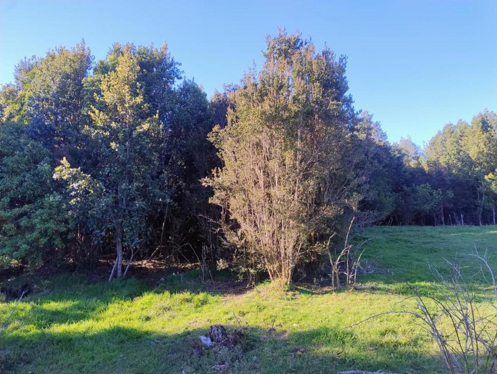 Φυσικό τοπίο κοντά σε αυτό το διαμέρισμα