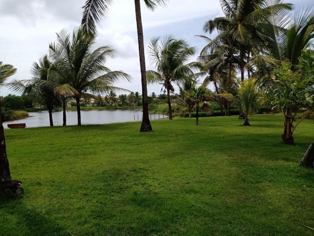 a park with palm trees and a body of water at Refúgio aconchegante in Salvador
