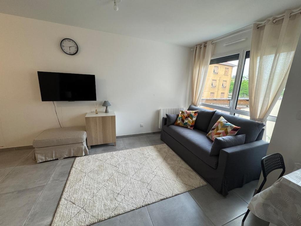 TV a/nebo společenská místnost v ubytování Studio Cosy Le Cocon au calme