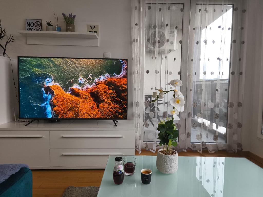 Et tv og/eller underholdning på Apartment M & N