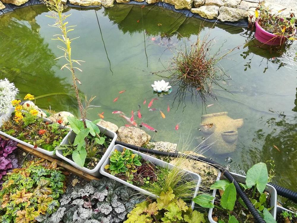 Le Clos des Passiflores - Chambres et Table d'Hôtes - 9