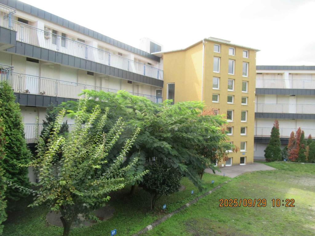 a plant in a yard in front of a building at Apartment in Csopak - Balaton 54882 in Csopak