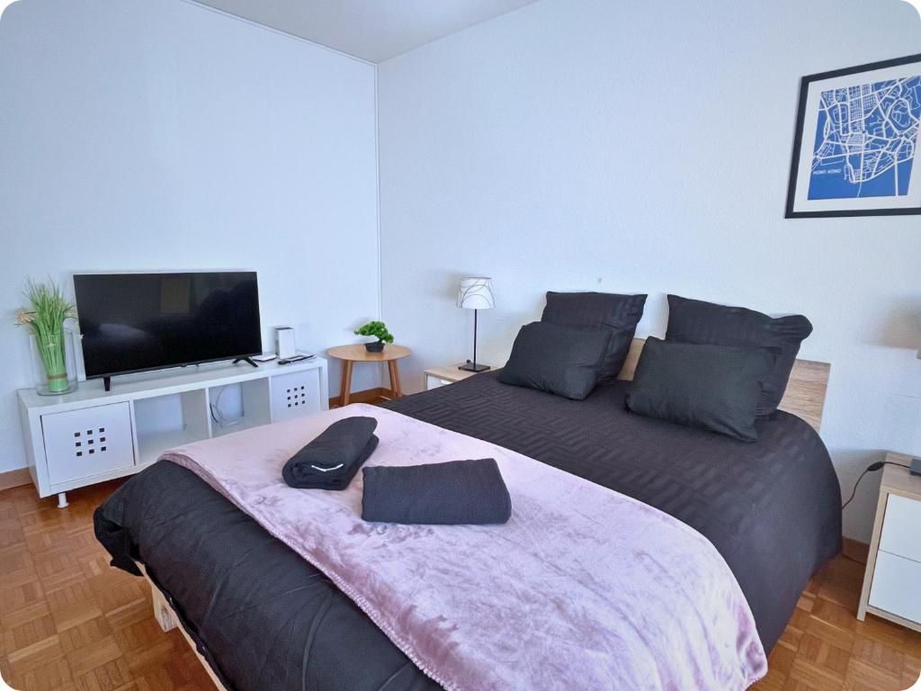 Un dormitorio con una cama grande y un televisor de pantalla plana. en HSH Flur Inn, en Berna