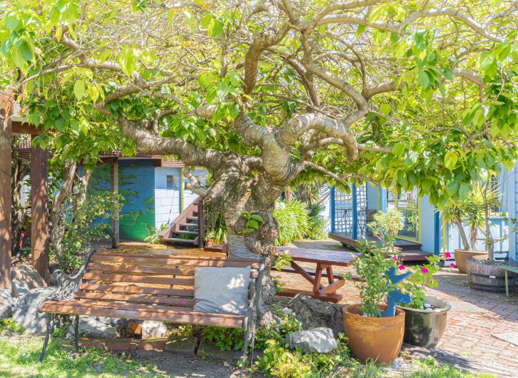 
Bed in 4-Bed Dormitory Room

