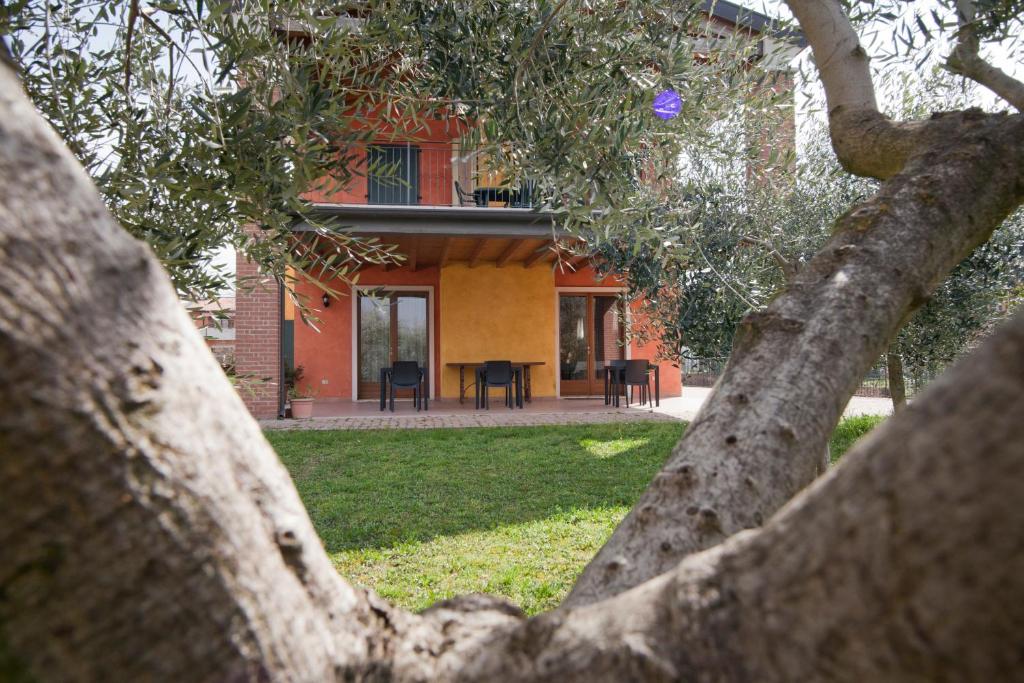 a house seen through the branches of a tree at Agritur Le Sigalette in Salionze