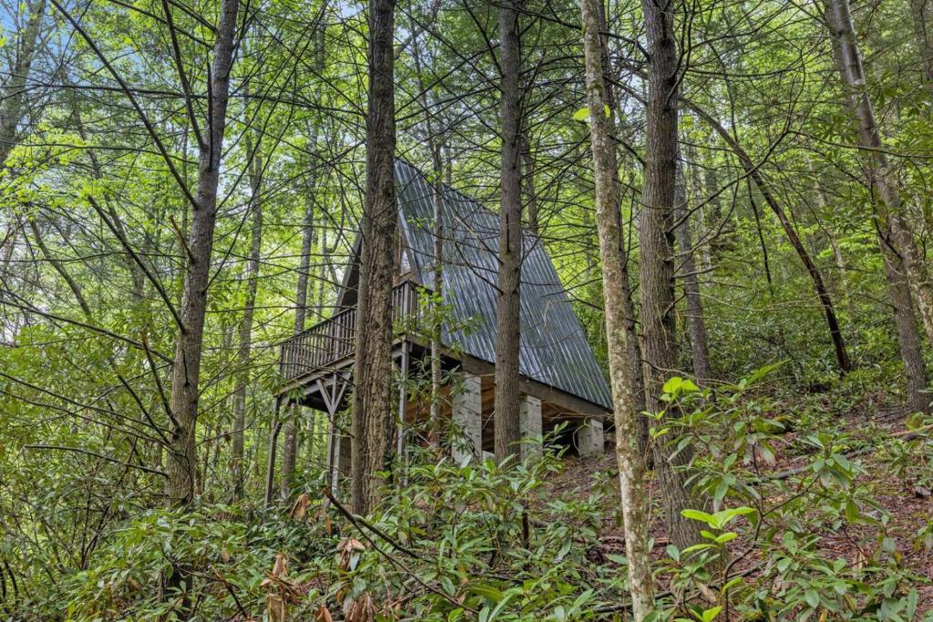 Příroda nedaleko prázdninového domu