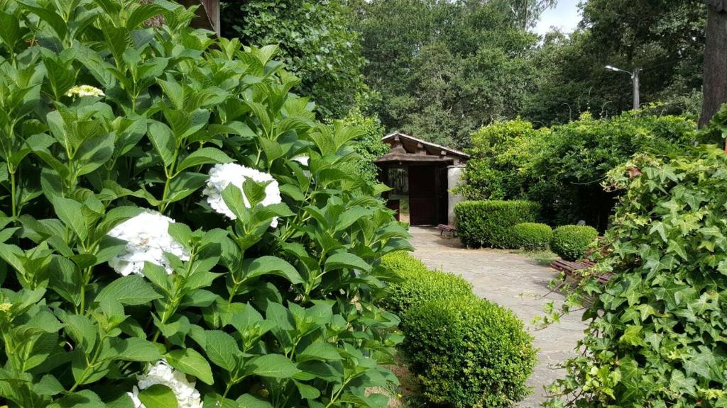 A garden outside A Pena de Augasantas