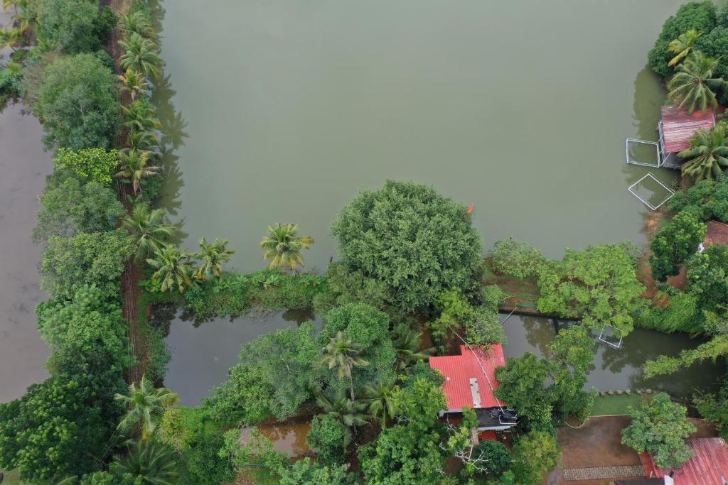 クマラコムにあるChirpingNest - Tranquil Exclusive Retreatの木々に囲まれた家屋の頭上