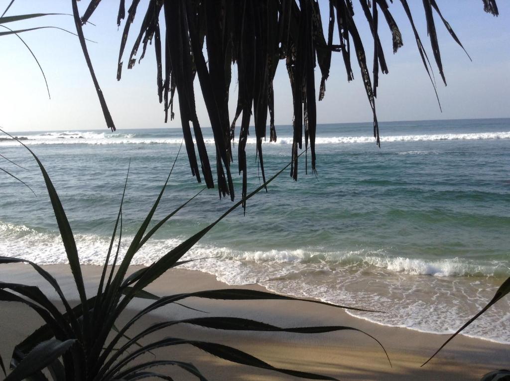 - Vistas a la playa desde una palmera en The Clouds Ahangama, en Ahangama