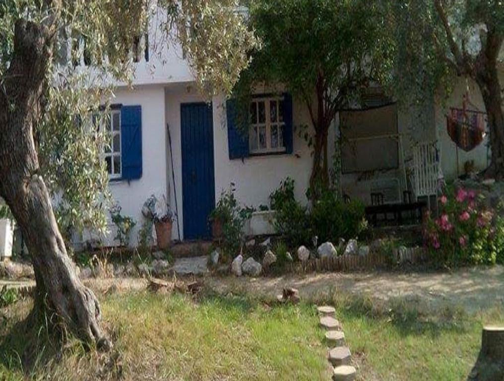 ガラタスにあるThe Olive Branchの青い扉と木のある家