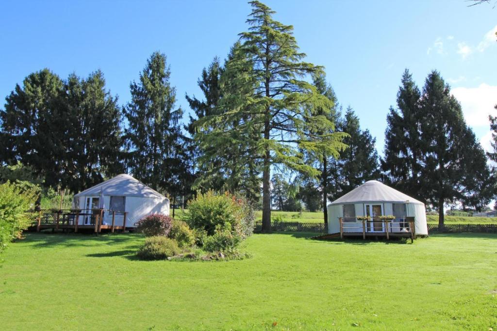 two yurt tents in a field with trees at Gîte Les yourtes de Saint Mathieu N°1 in Saint-Mathieu