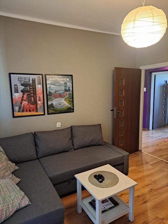 Comfortable Apartment close to Spodek - 12