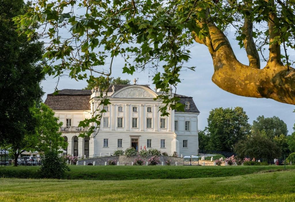 Zahrada ubytování Pałac Popielów w Kurozwękach, Pokój w Pałacu - Kurozwęcki