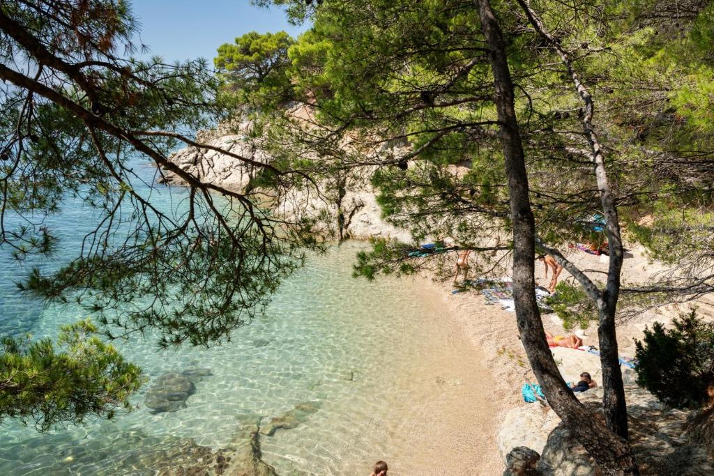 Φυσικό τοπίο κοντά σε αυτό το διαμέρισμα