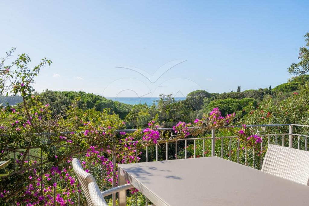 Příroda nedaleko vily