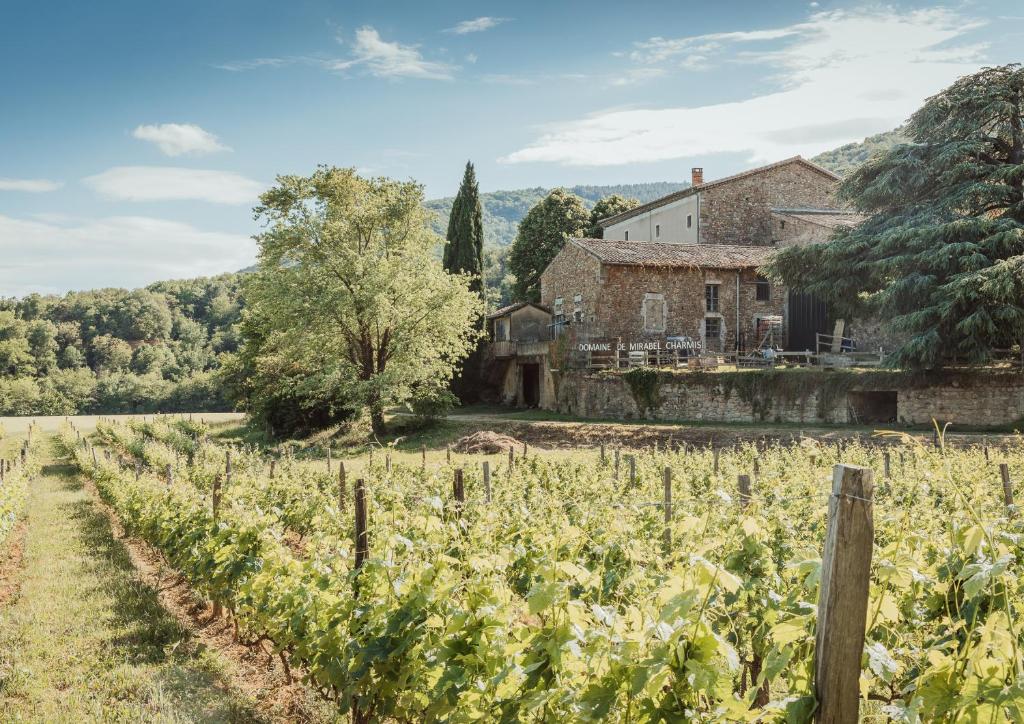 Příroda nedaleko prázdninového domu