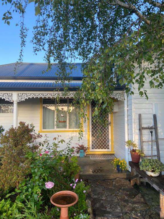 a white house with a blue roof at Birchmoore Studio in Penola