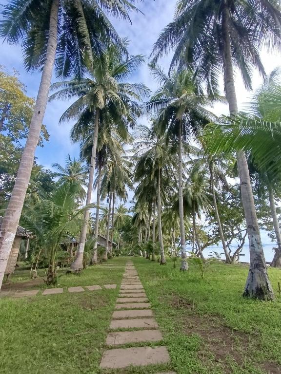 a path leading to the beach with palm trees at Tay Deling's Place in El Nido