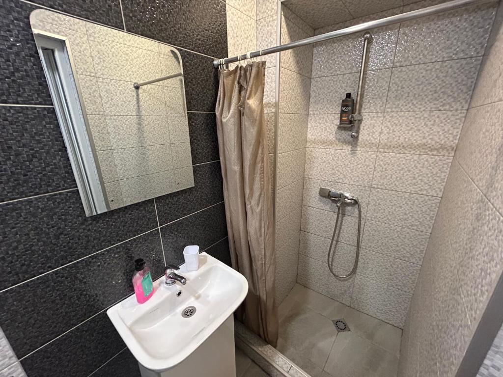 امکانات Vakhtang Gorgasali apartment - تصویر ۴