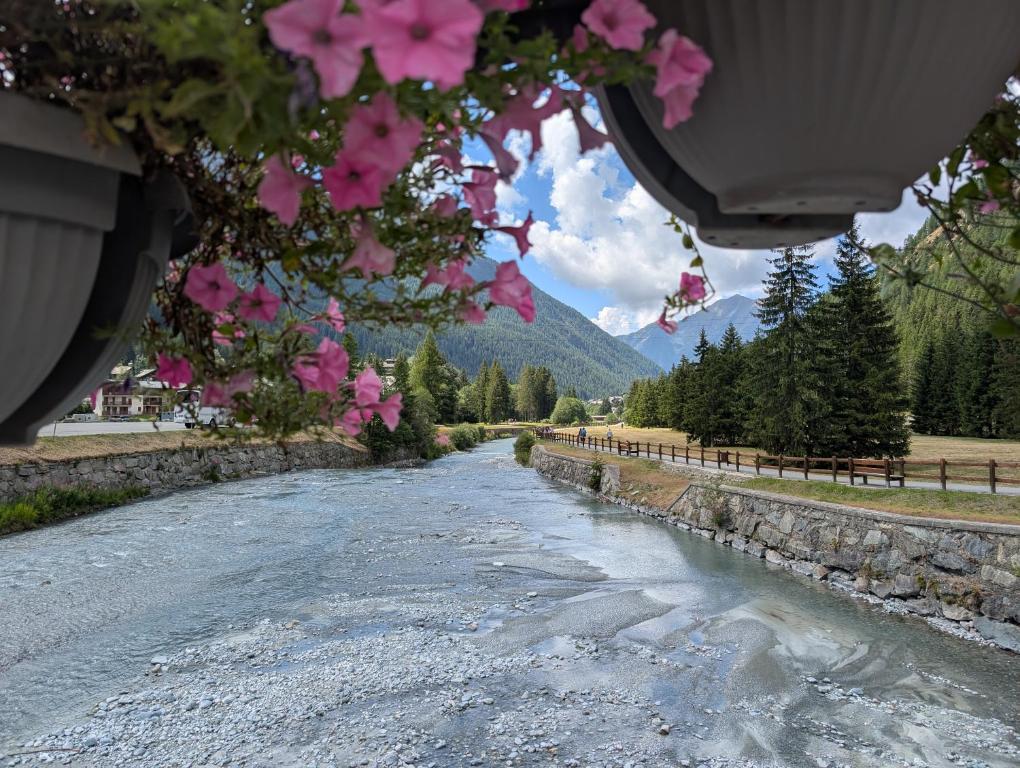 a view of a river with pink flowers at Maison Poluc - Chiaro di Luna in Champoluc