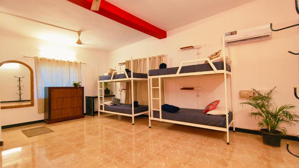 a room with bunk beds in a room at Mitra Palolem in Canacona