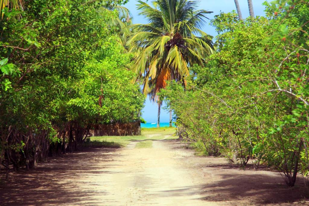 Tatuamunha