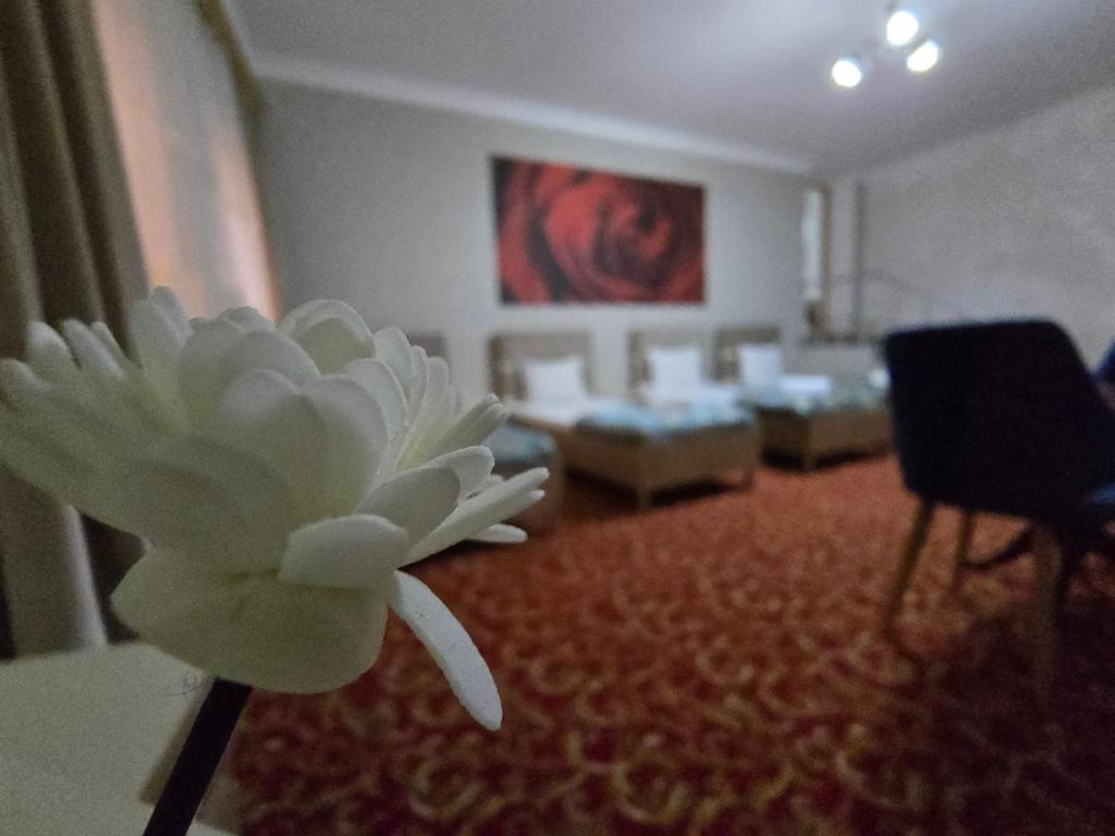 a white flower on the floor of a room at Sarp Hotel in Baku