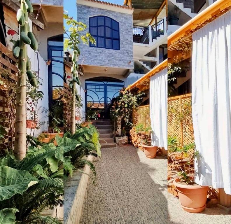 Zahrada ubytování KALOO Atitlán