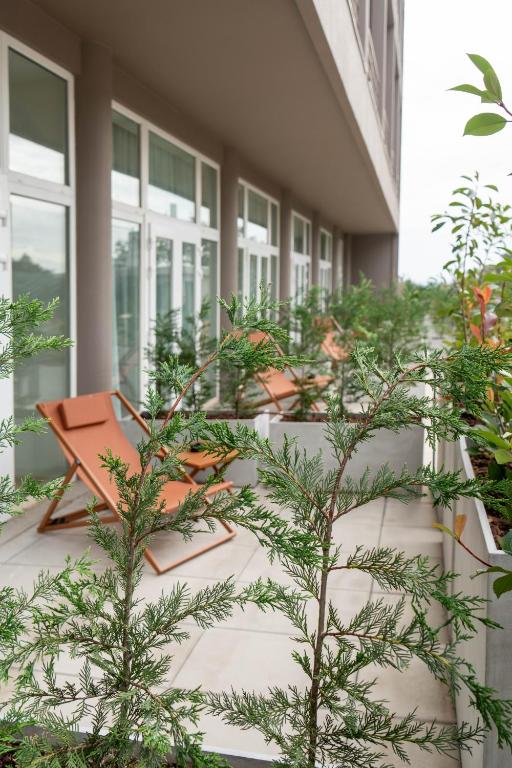 The Lince Braga - 15