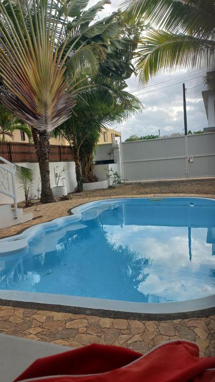a large blue swimming pool with a palm tree at Villa oasis in Grand Baie