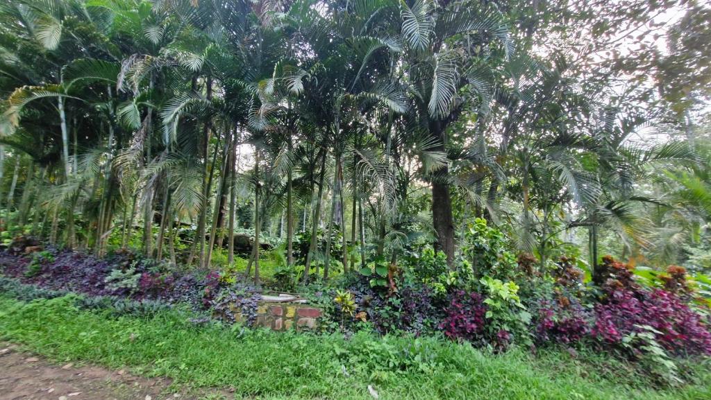 a garden with palm trees and colorful flowers at Grace Backwater Villa Coorg in Suntikoppa