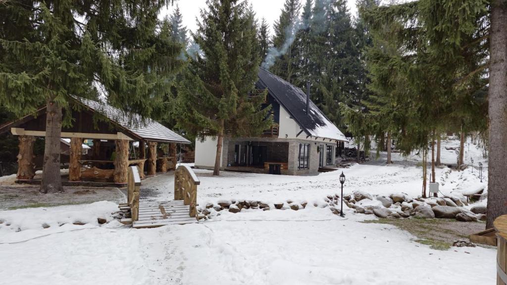 a cabin with snow on the ground in front of it at Cabana Bradul Adelinei in Bucsin