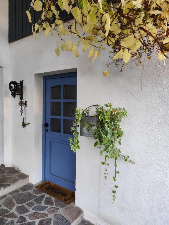 a blue door on a white building with a plant at FeWo Pfaffenhofen-Ortsteil Blick ins Grüne in Pfaffenhofen an der Ilm