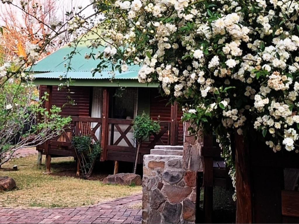 een huis met een bankje en een boom met bloemen bij Cinnamon & Sage Country Cabins in Dullstroom