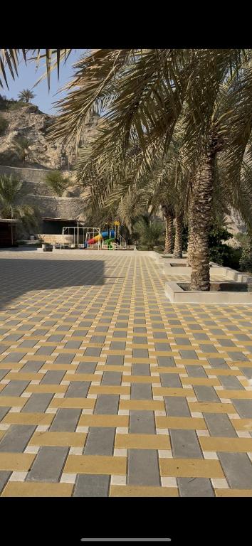 una acera con palmeras en un aparcamiento en Crestora farm, en Ras al Khaimah