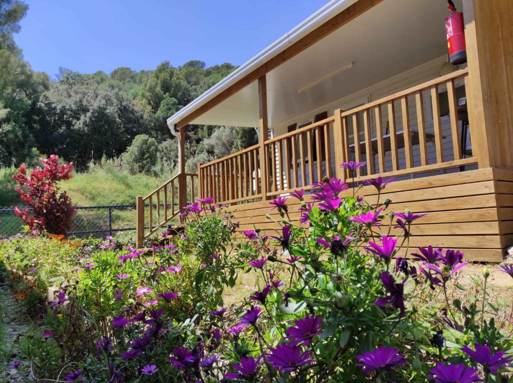 Zahrada ubytování Holiday home in Calella de la Costa 3641