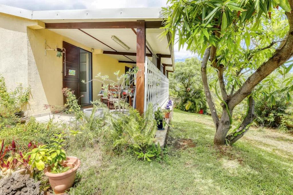 a house with a tree in front of it at Kaz Santa Maria in Saint-Leu