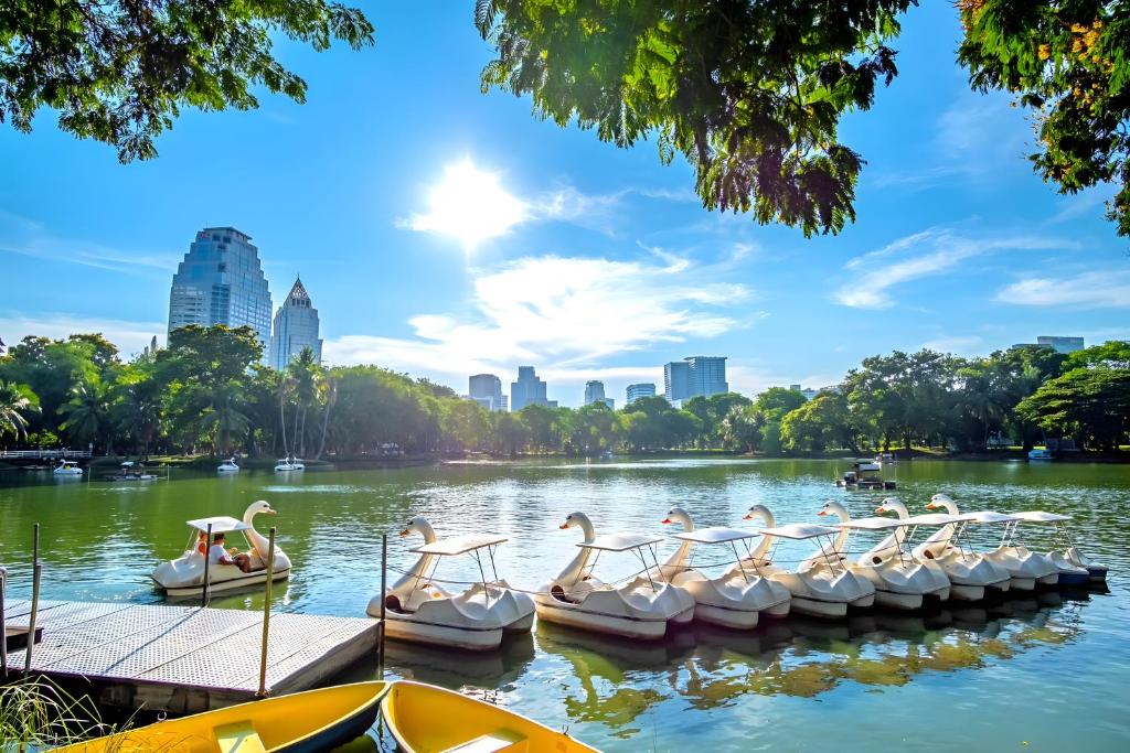 un groupe de cygnes dans un lac en ville dans l'établissement GO INN Silom BTS Saint Loius - เซนหลุย X2, à Yan Nawa