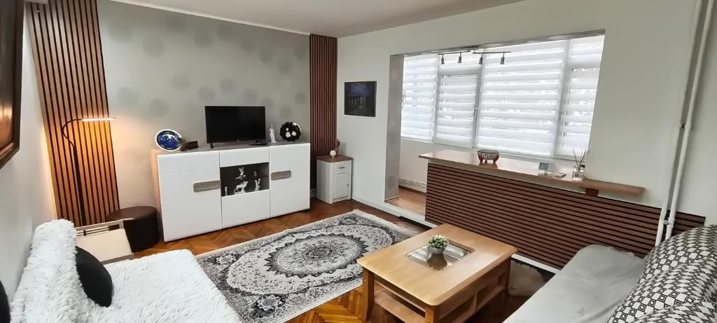 Μια τηλεόραση ή/και κέντρο ψυχαγωγίας στο Magic Craiova Stay