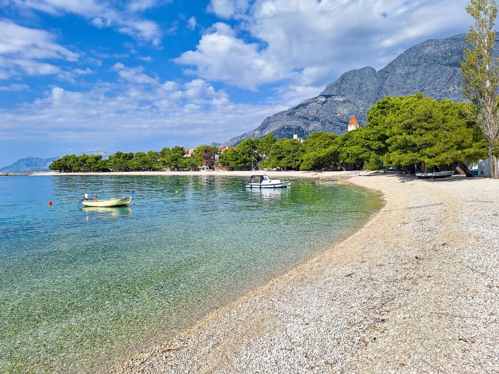 Naturlandskabet i nærheden af lejligheden
