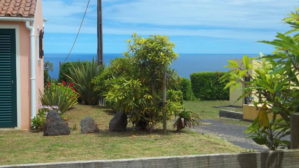 einen Garten mit Pflanzen und Steinen vor einem Haus in der Unterkunft Faial Cottage in Cedros
