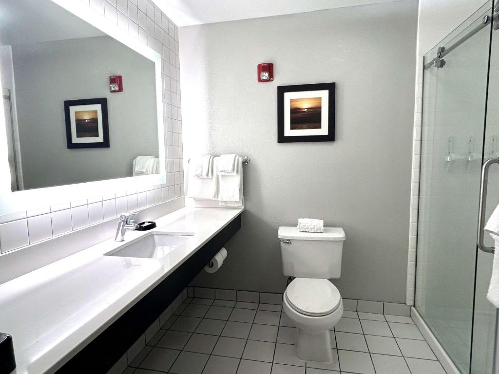 Best Western Erie Inn & Suites - King Room - Non-Smoking