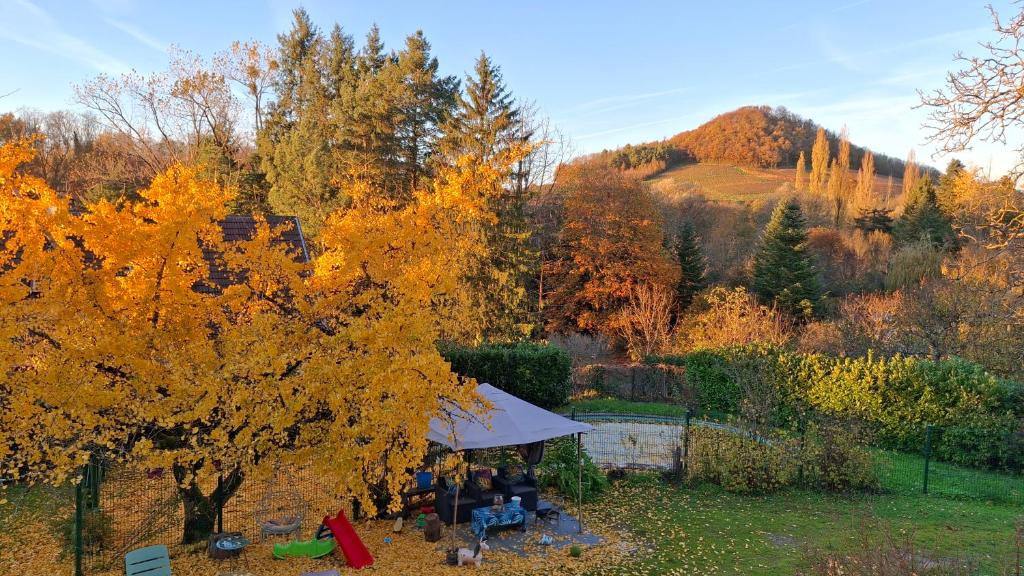 Nespecifikovaný výhled na hory nebo výhled na hory při pohledu z apartmánu