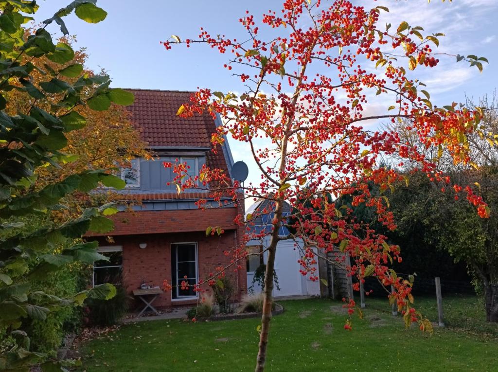 Κήπος έξω από το Ferienhaus Auszeit