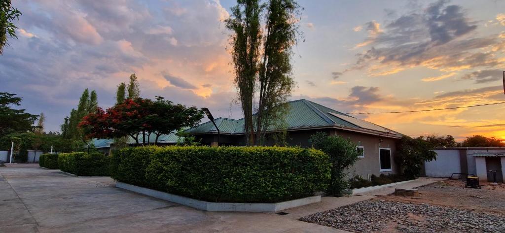 Κήπος έξω από το IJ Apartments