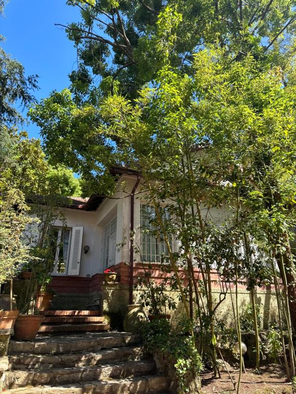 Κήπος έξω από το Villa Margherita