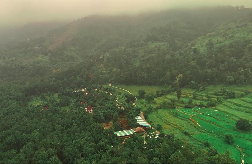 Příroda nedaleko rezortu