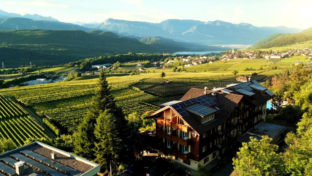 een huis in een wijngaard met bergen op de achtergrond bij Residence Tannhof in Caldaro